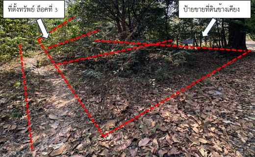 ขายทอดตลาด ที่ดินว่างเปล่า ต.ขามใหญ่ อ.เมืองอุบลราชธานี จ.อุบลราชธานี
