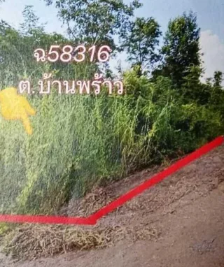 รูปทรัพย์ 2