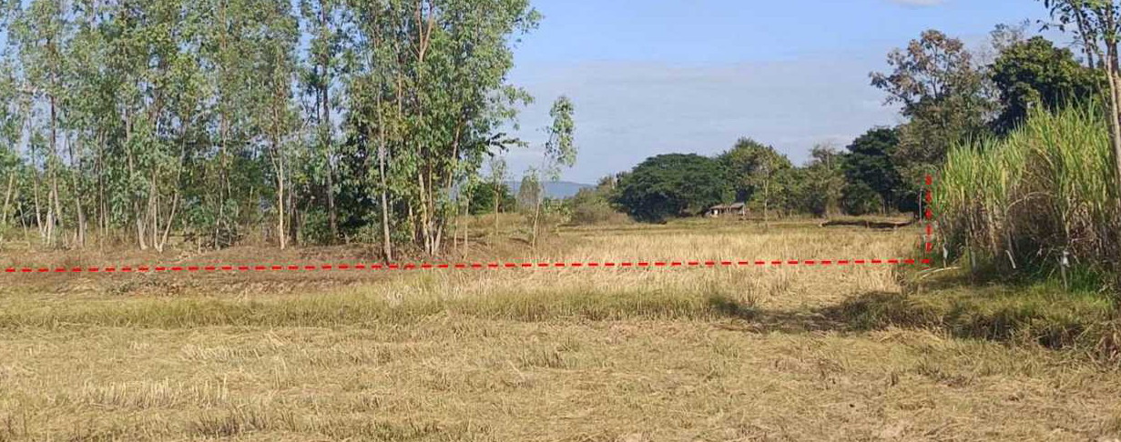 ขายทอดตลาด ที่ดินว่างเปล่า ต.หนองสวรรค์ อ.เมืองหนองบัวลำภู จ.หนองบัวลำภู