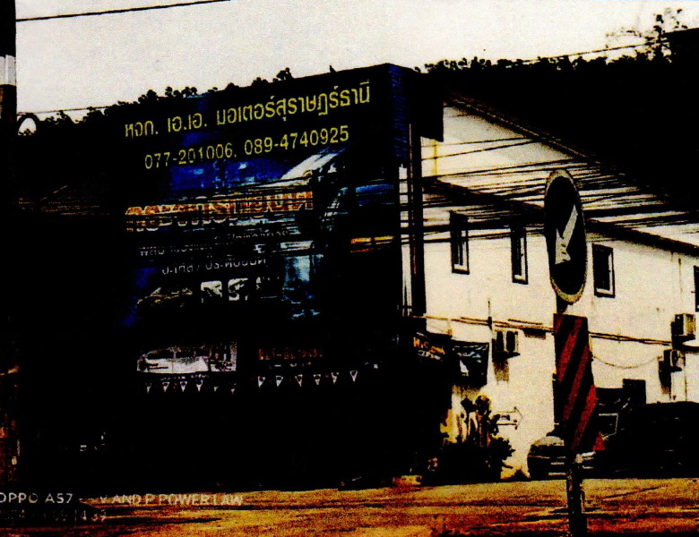 ขายทอดตลาด ที่ดินพร้อมสิ่งปลูกสร้าง ต.วัดประดู่ อ.เมืองสุราษฎร์ธานี จ.สุราษฎร์ธานี