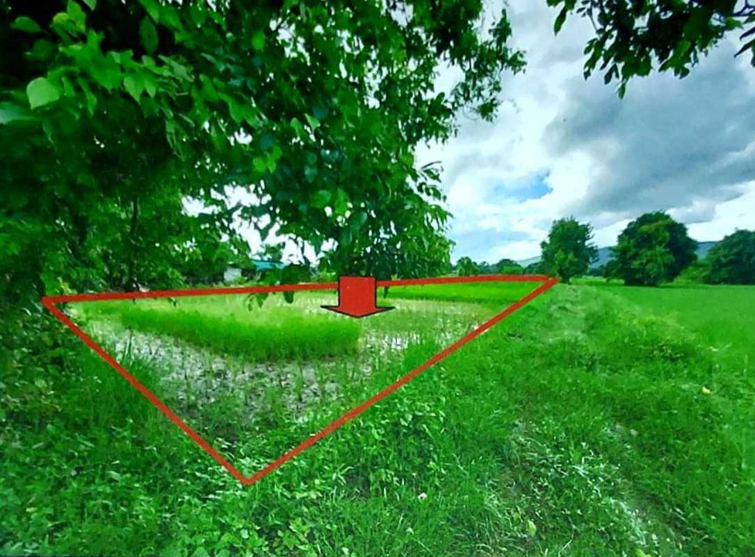 ขายทอดตลาด ที่ดินว่างเปล่า ต.บ้านขาม อ.เมืองหนองบัวลำภู จ.หนองบัวลำภู