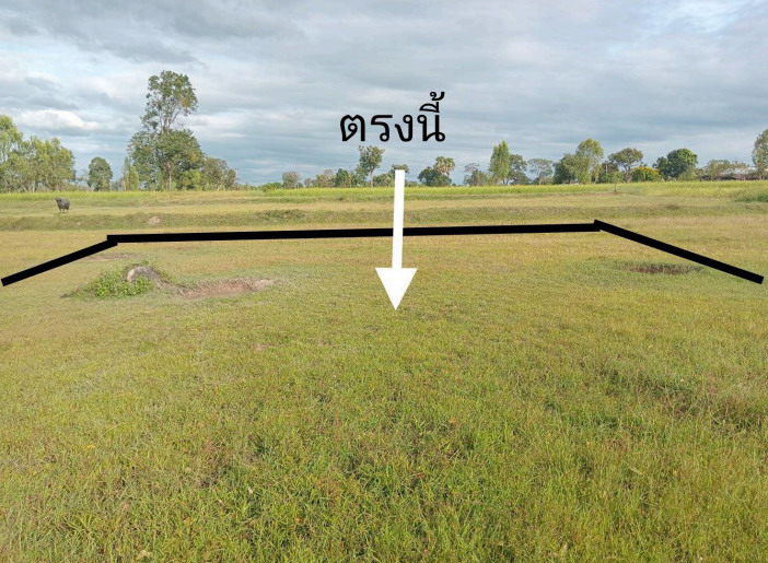 ขายทอดตลาด ที่ดินว่างเปล่า ต.ท่าลาด อ.วารินชำราบ จ.อุบลราชธานี