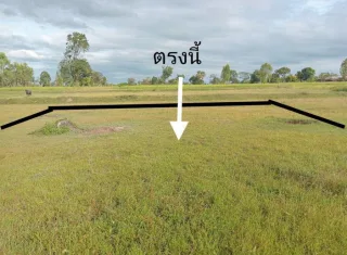 รูปทรัพย์ 1