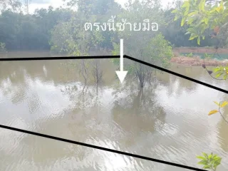 รูปทรัพย์ 2