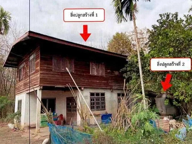 ขายทอดตลาด ที่ดินพร้อมสิ่งปลูกสร้าง ต.บ้านต้อน อ.รัตนวาปี จ.หนองคาย
