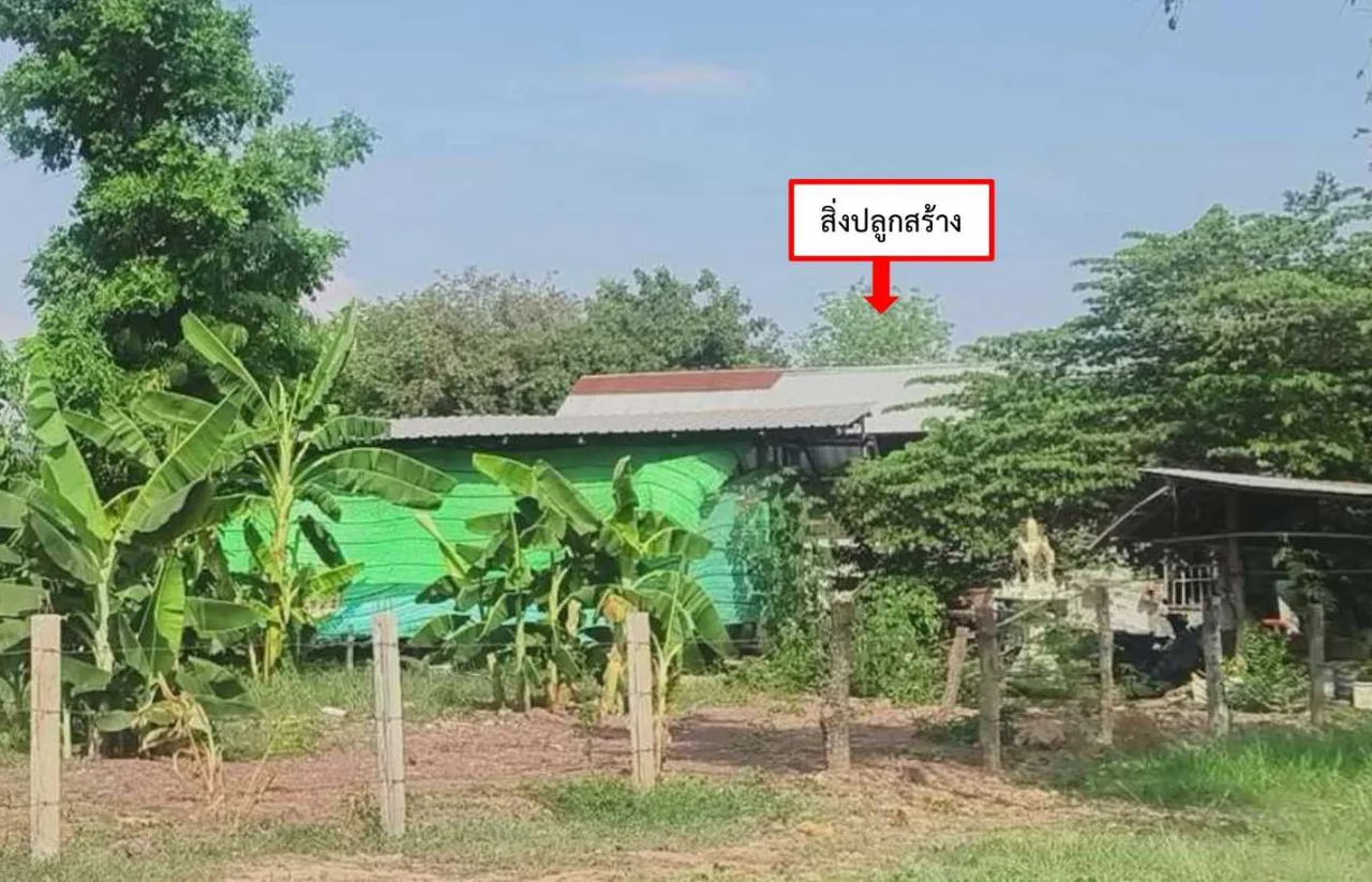 ขายทอดตลาด ที่ดินพร้อมสิ่งปลูกสร้าง ต.โคกม่วง อ.โนนสัง จ.หนองบัวลำภู
