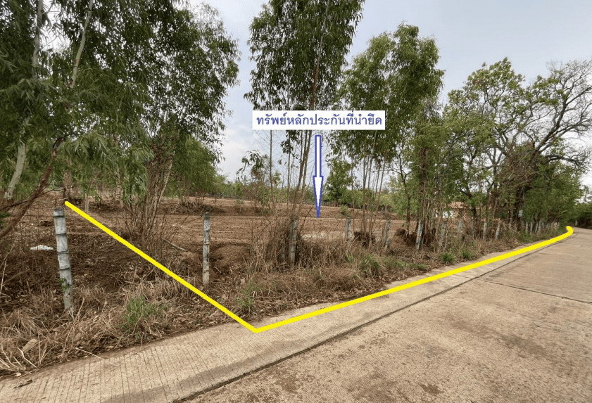 ขายทอดตลาด ที่ดินว่างเปล่า ต.เจียด อ.เขมราฐ จ.อุบลราชธานี