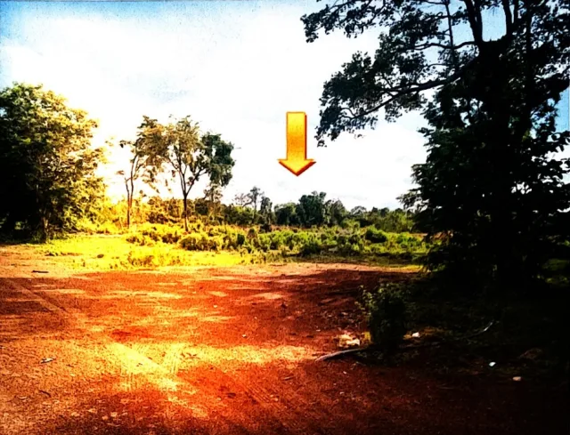 ขายทอดตลาด ที่ดินว่างเปล่า ต.วัดธาตุ อ.เมืองหนองคาย จ.หนองคาย