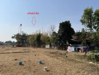 รูปทรัพย์ 2