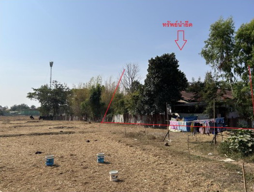 ขายทอดตลาด ที่ดินพร้อมสิ่งปลูกสร้าง ต.วัดธาตุ อ.เมืองหนองคาย จ.หนองคาย