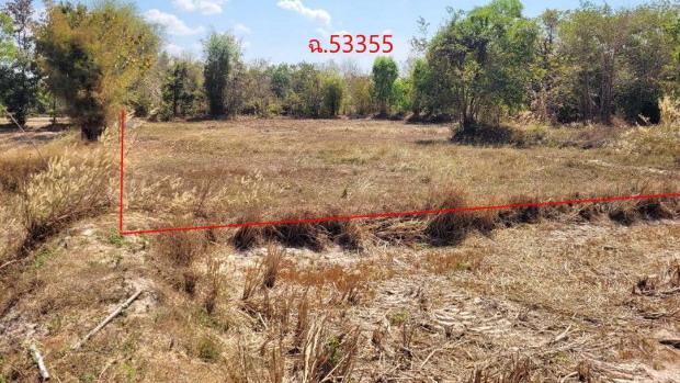 ขายทอดตลาด ที่ดินว่างเปล่า ต.สะพือ อ.ตระการพืชผล จ.อุบลราชธานี