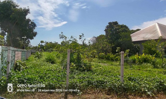 ขายทอดตลาด ที่ดินว่างเปล่า ต.รัตนวาปี อ.รัตนวาปี จ.หนองคาย