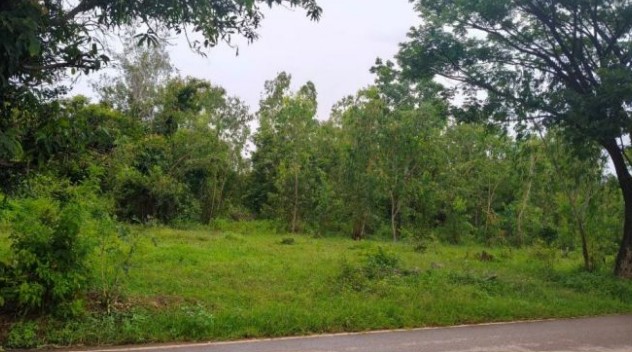 ขายทอดตลาด ที่ดินว่างเปล่า ต.หนองกอมเกาะ อ.เมืองหนองคาย จ.หนองคาย