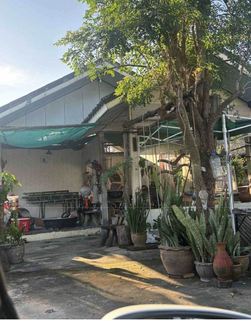 ขายทอดตลาด ที่ดินพร้อมสิ่งปลูกสร้าง ต.ลำภู อ.เมืองหนองบัวลำภู จ.หนองบัวลำภู