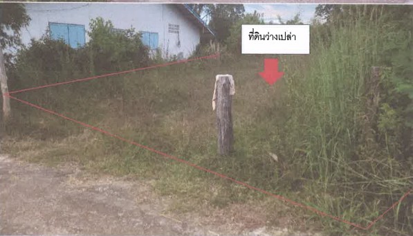 ขายทอดตลาด ที่ดินว่างเปล่า ต.จุมพล อ.โพนพิสัย จ.หนองคาย
