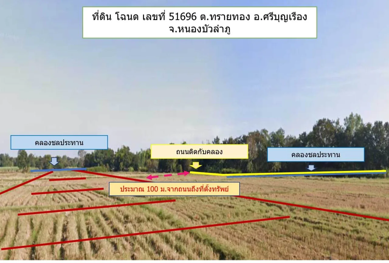 ขายทอดตลาด ที่ดินว่างเปล่า ต.ทรายทอง อ.ศรีบุญเรือง จ.หนองบัวลำภู