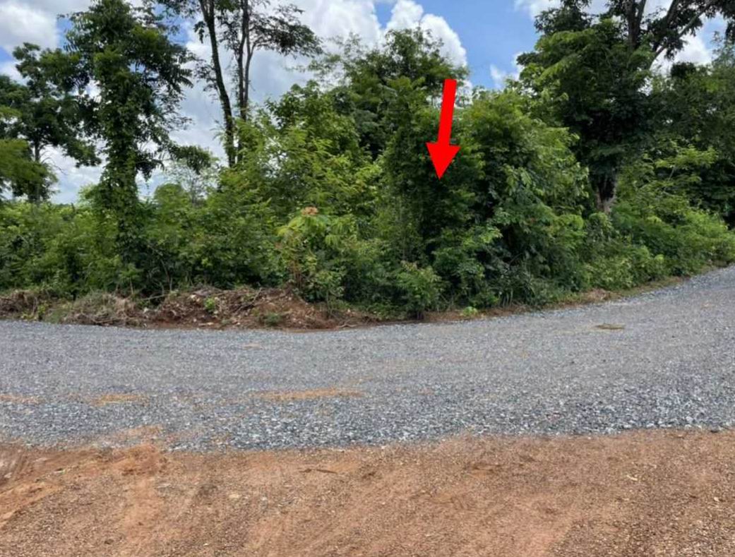ขายทอดตลาด ที่ดินว่างเปล่า ต.หันนางาม อ.ศรีบุญเรือง จ.หนองบัวลำภู