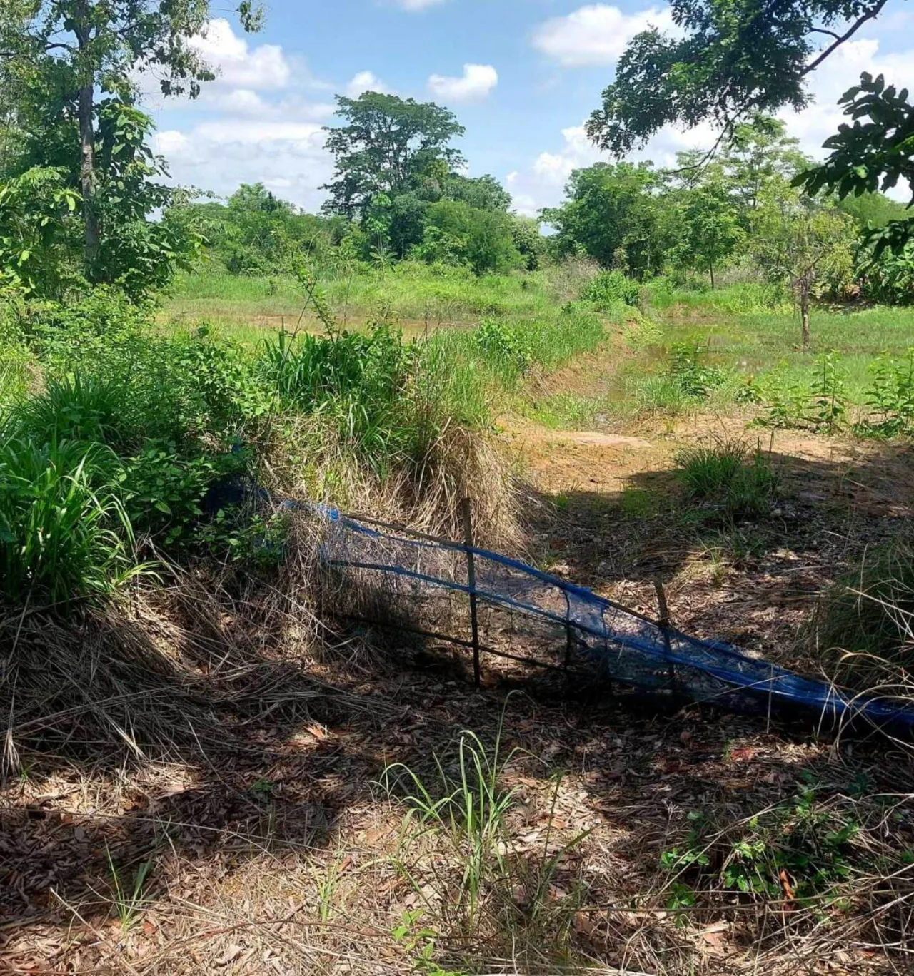 ขายทอดตลาด ที่ดินว่างเปล่า ต.บ้านขาม อ.เมืองหนองบัวลำภู จ.หนองบัวลำภู