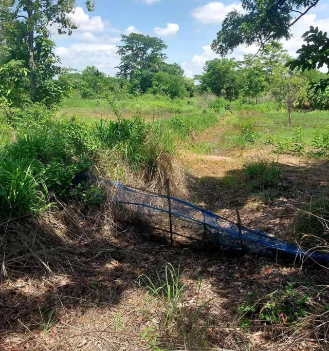 ขายทอดตลาด ที่ดินว่างเปล่า ต.บ้านขาม อ.เมืองหนองบัวลำภู จ.หนองบัวลำภู