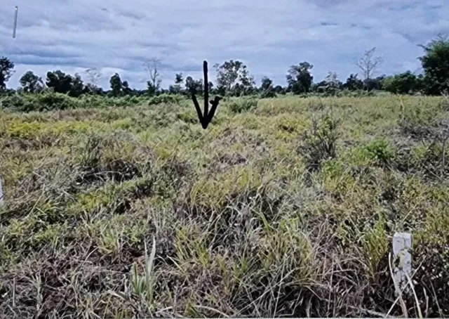 ขายทอดตลาด ที่ดินว่างเปล่า ต.บ้านพร้าว อ.เมืองหนองบัวลำภู จ.หนองบัวลำภู