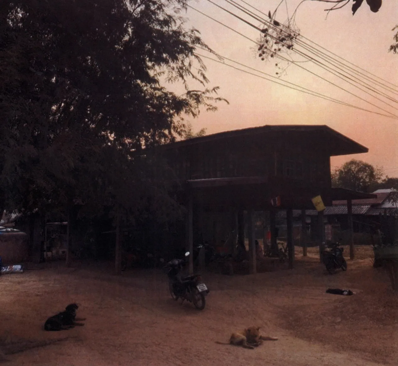 ขายทอดตลาด ที่ดินพร้อมสิ่งปลูกสร้าง ต.นิคมพัฒนา อ.โนนสัง จ.หนองบัวลำภู