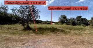 รูปทรัพย์ 2
