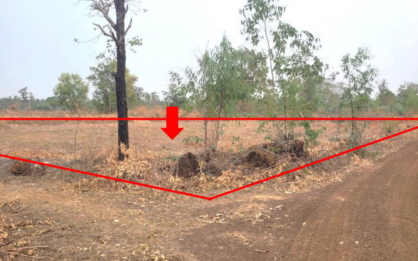 ขายทอดตลาด ที่ดินว่างเปล่า ต.เตย อ.ม่วงสามสิบ จ.อุบลราชธานี