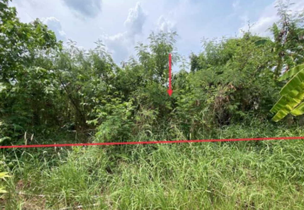 ขายทอดตลาด ที่ดินว่างเปล่า ต.หันนางาม อ.ศรีบุญเรือง จ.หนองบัวลำภู