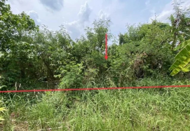 ขายทอดตลาด ที่ดินว่างเปล่า ต.หันนางาม อ.ศรีบุญเรือง จ.หนองบัวลำภู