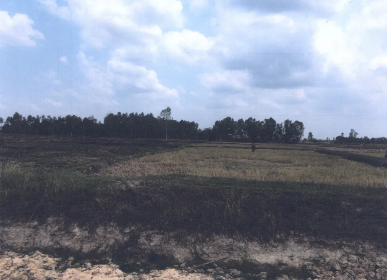 ขายทอดตลาด ที่ดินว่างเปล่า ต.หนองบ่อ อ.เมืองอุบลราชธานี จ.อุบลราชธานี