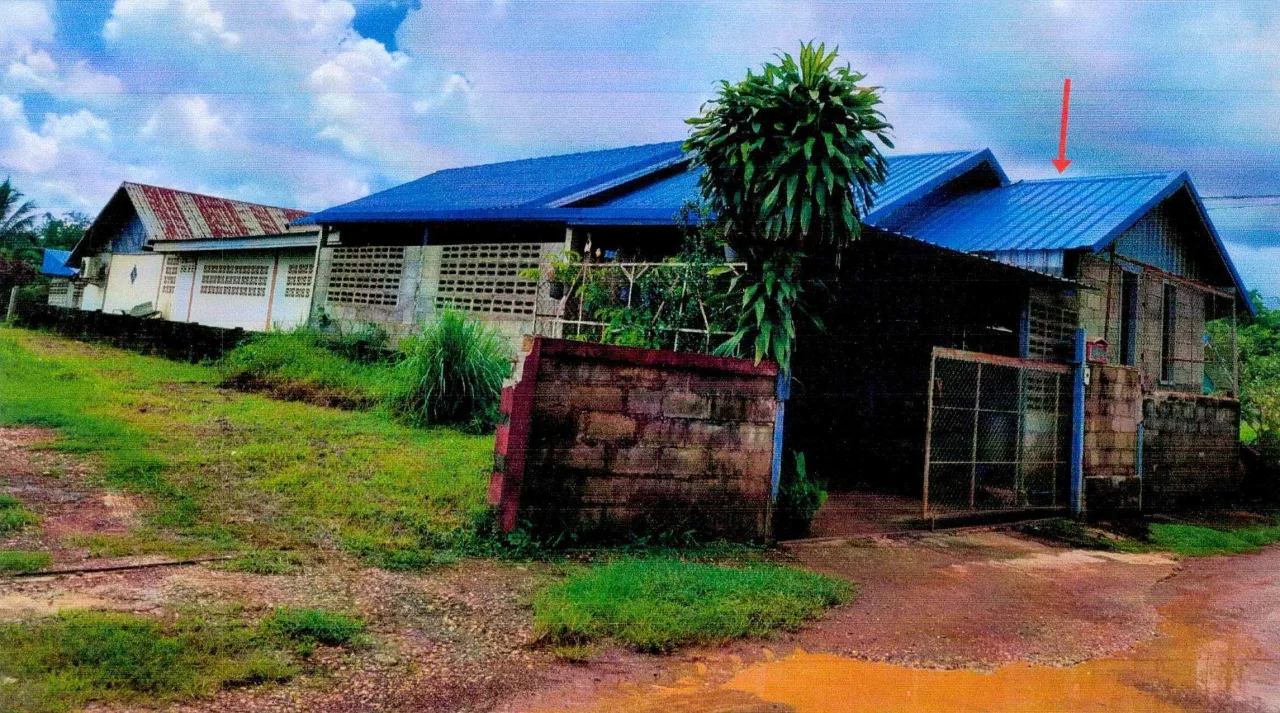 ขายทอดตลาด ที่ดินพร้อมสิ่งปลูกสร้าง ต.บ้านต้อน อ.รัตนวาปี จ.หนองคาย