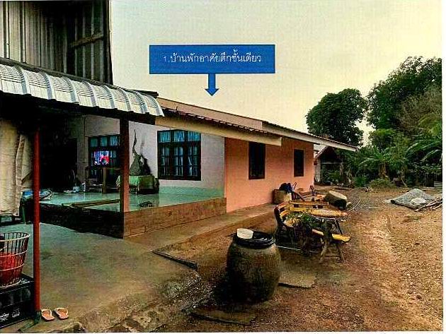 ขายทอดตลาด ที่ดินพร้อมสิ่งปลูกสร้าง ต.โพนแพง อ.รัตนวาปี จ.หนองคาย
