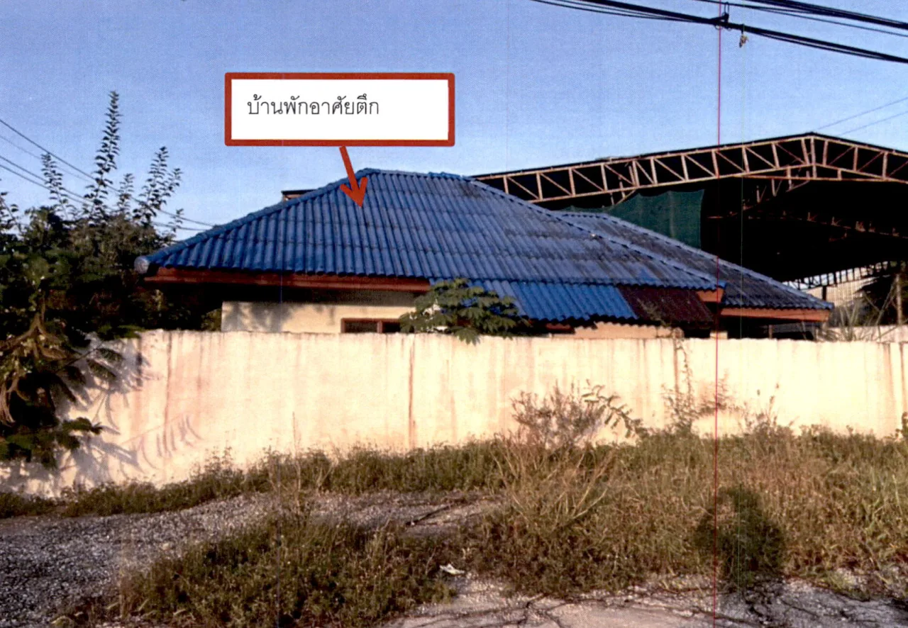 ขายทอดตลาด ที่ดินพร้อมสิ่งปลูกสร้าง ต.หัวเตย อ.พุนพิน จ.สุราษฎร์ธานี