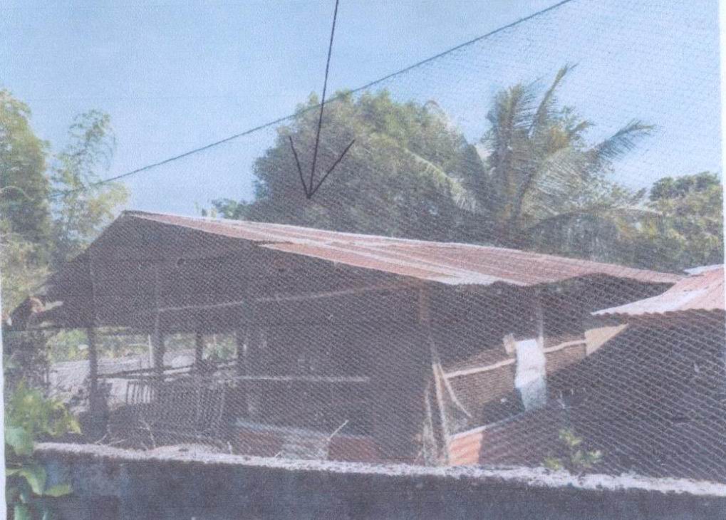 ขายทอดตลาด ที่ดินพร้อมสิ่งปลูกสร้าง ต.โพธิ์ไทร อ.พิบูลมังสาหาร จ.อุบลราชธานี
