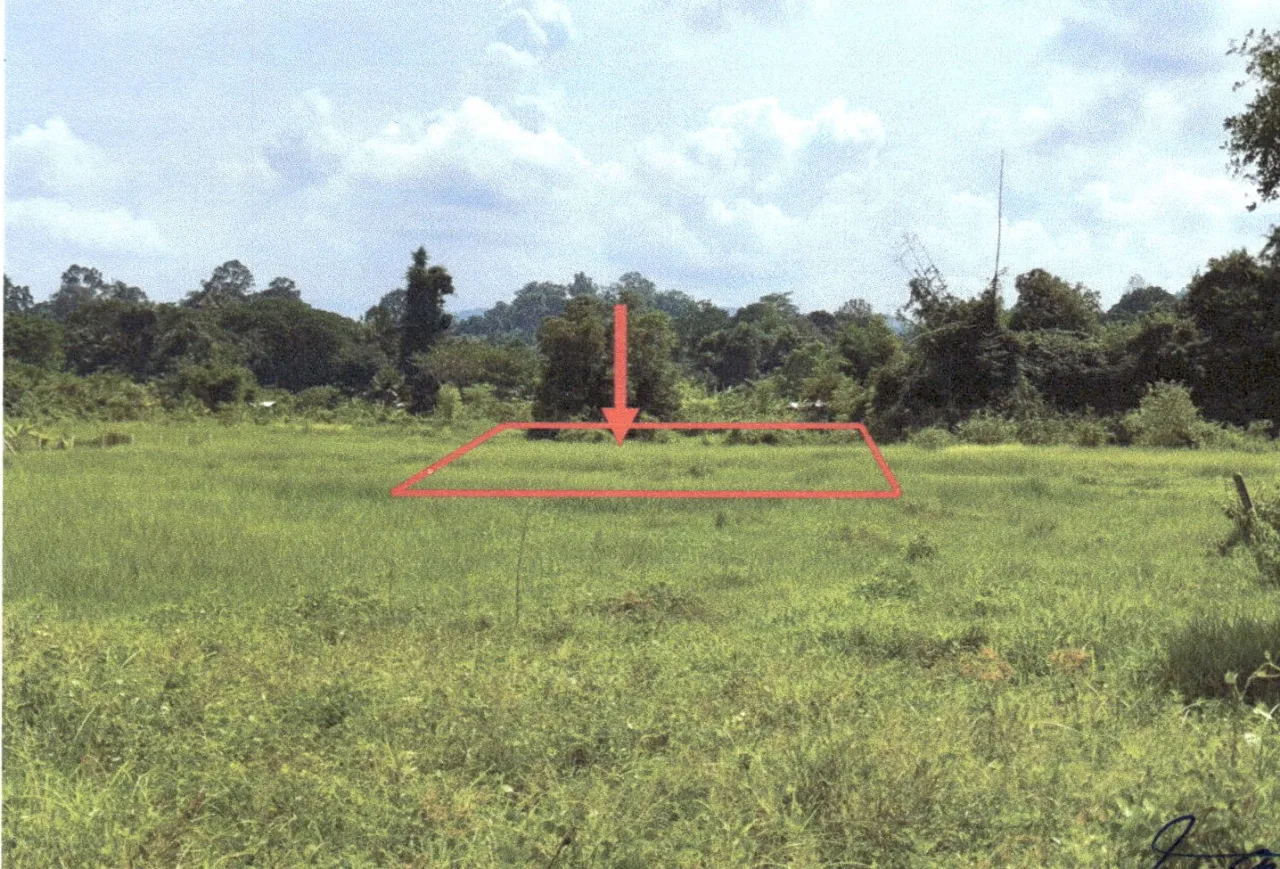 ขายทอดตลาด ที่ดินว่างเปล่า ต.ฝายหลวง อ.ลับแล จ.อุตรดิตถ์