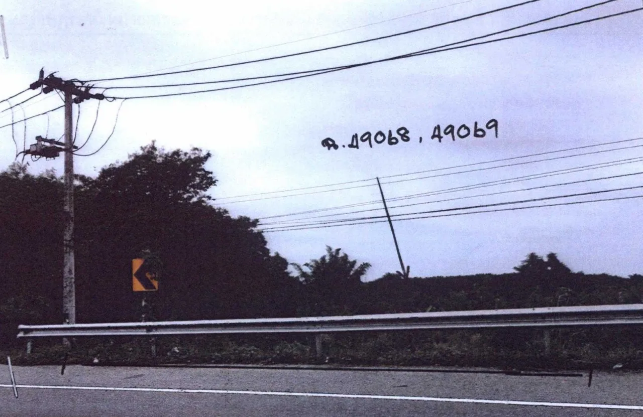 ขายทอดตลาด ที่ดินว่างเปล่า ต.กรูด อ.กาญจนดิษฐ์ จ.สุราษฎร์ธานี