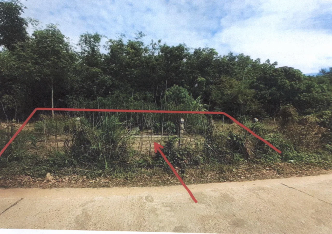 ขายทอดตลาด ที่ดินว่างเปล่า ต.บุ่งไหม อ.วารินชำราบ จ.อุบลราชธานี
