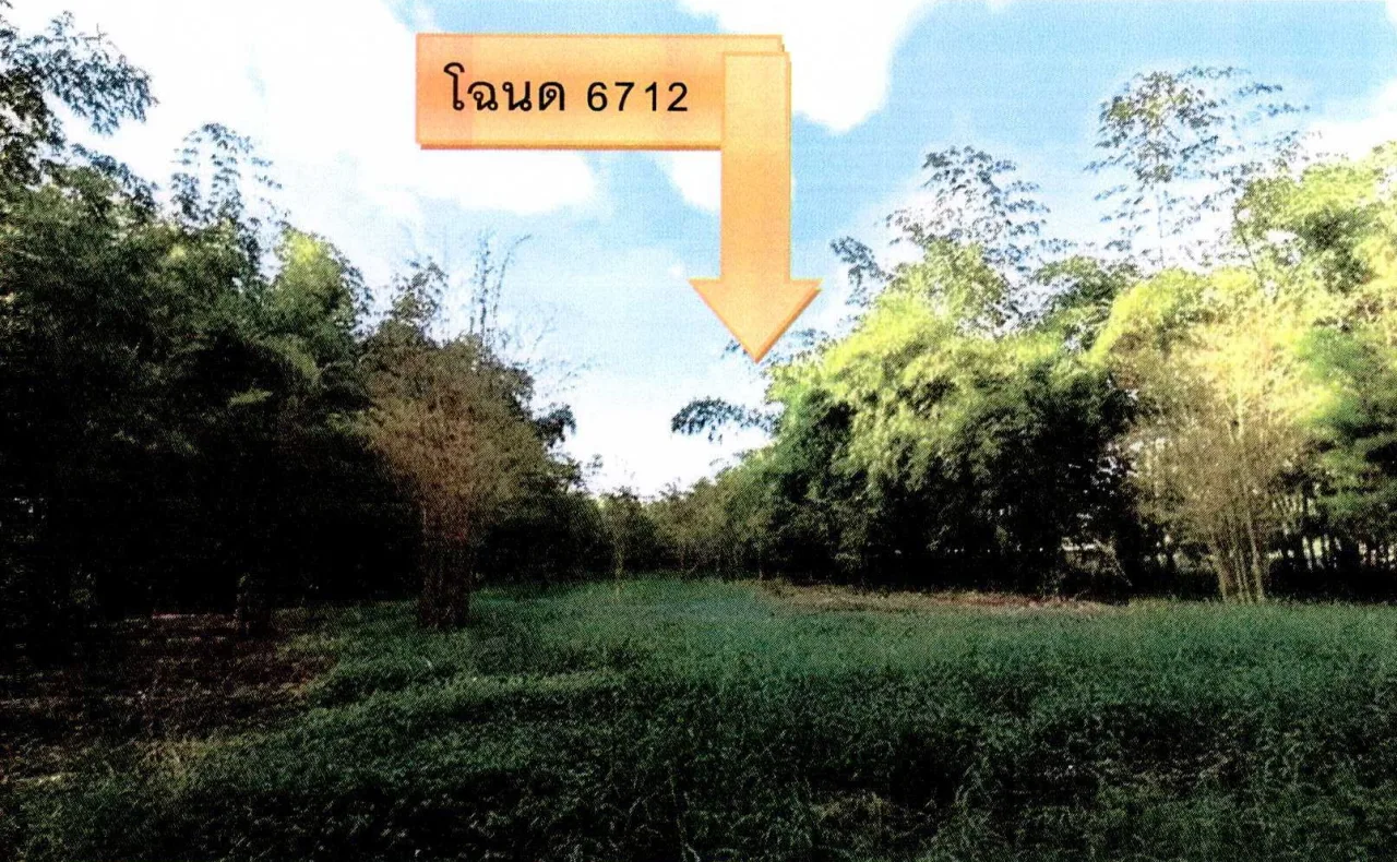 ขายทอดตลาด ที่ดินว่างเปล่า ต.พานพร้าว อ.ศรีเชียงใหม่ จ.หนองคาย