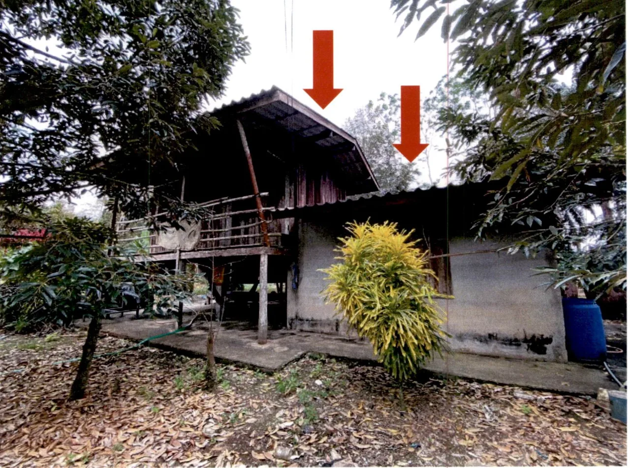 ขายทอดตลาด ที่ดินพร้อมสิ่งปลูกสร้าง ต.ท่าขนอน อ.คีรีรัฐนิคม จ.สุราษฎร์ธานี