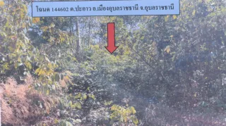 รูปทรัพย์ 2
