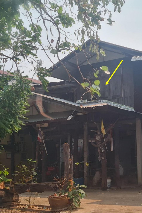 ขายทอดตลาด ที่ดินพร้อมสิ่งปลูกสร้าง ต.พังเคน อ.กิ่งอำเภอนาตาล จ.อุบลราชธานี
