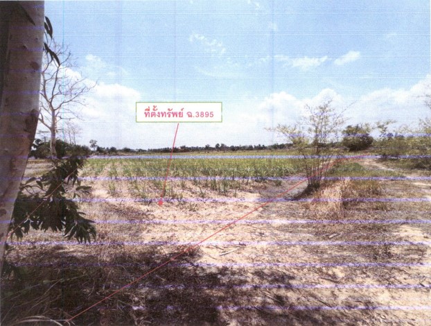 ขายทอดตลาด ที่ดินว่างเปล่า ต.หนองหลัก อ.ไชยวาน จ.อุดรธานี