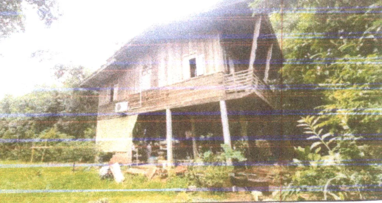 ขายทอดตลาด ที่ดินพร้อมสิ่งปลูกสร้าง ต.ขุนทะเล อ.เมืองสุราษฎร์ธานี จ.สุราษฎร์ธานี