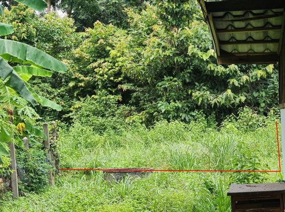 ขายทอดตลาด ที่ดินพร้อมสิ่งปลูกสร้าง ต.ท่าช้าง อ.สว่างวีระวงศ์ จ.อุบลราชธานี