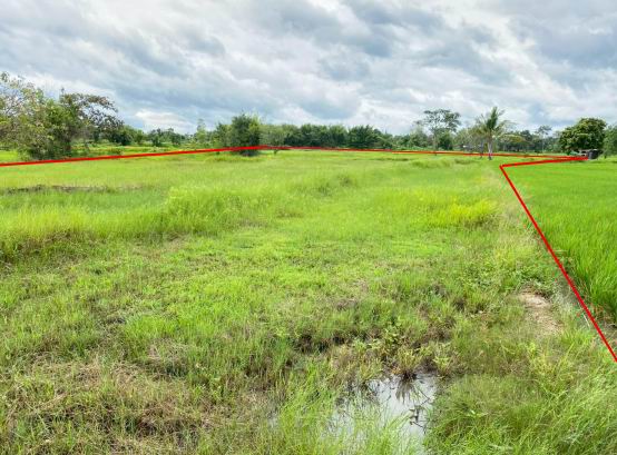 ขายทอดตลาด ที่ดินว่างเปล่า ต.คำเจริญ อ.ตระการพืชผล จ.อุบลราชธานี