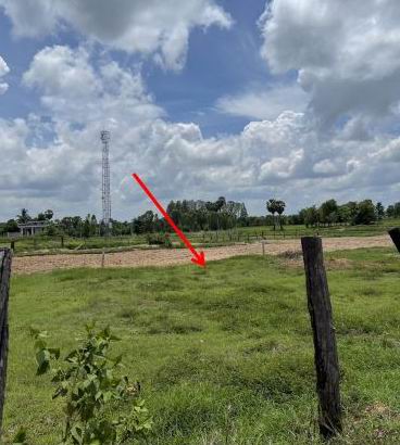ขายทอดตลาด ที่ดินว่างเปล่า ต.นาไหม อ.บ้านดุง จ.อุดรธานี