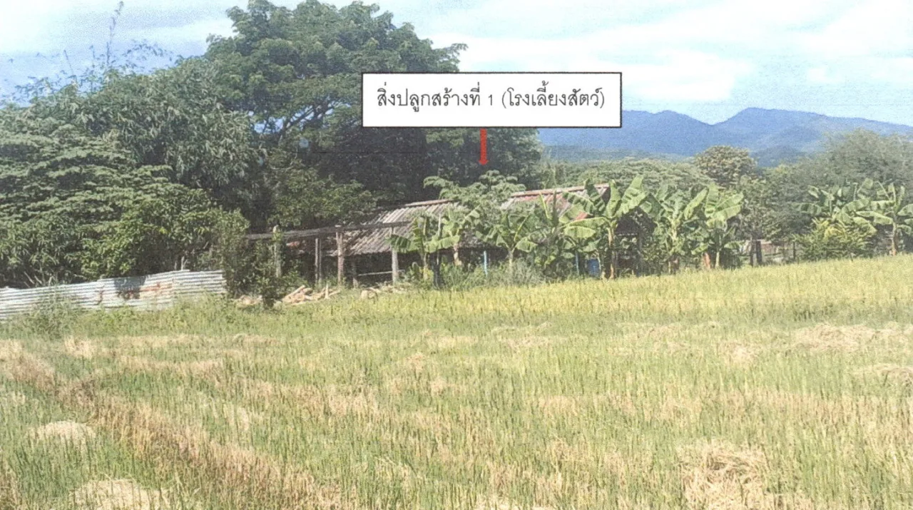 ขายทอดตลาด ที่ดินพร้อมสิ่งปลูกสร้าง ต.ฟากท่า อ.ฟากท่า จ.อุตรดิตถ์