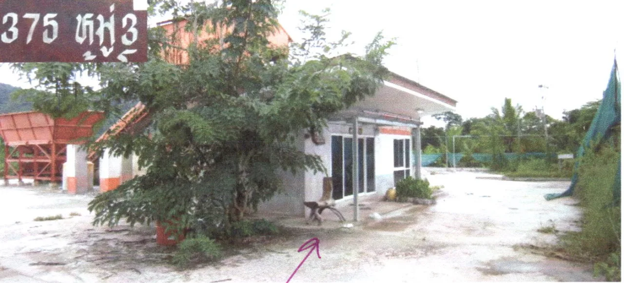 ขายทอดตลาด ที่ดินพร้อมสิ่งปลูกสร้าง ต.บ้านโคก อ.บ้านโคก จ.อุตรดิตถ์