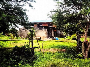 ขายทอดตลาด ที่ดินพร้อมสิ่งปลูกสร้าง ต.เชียงแหว อ.กุมภวาปี จ.อุดรธานี