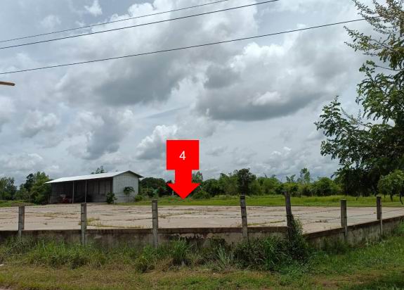 ขายทอดตลาด ที่ดินพร้อมสิ่งปลูกสร้าง ต.หนองผือ อ.เขมราฐ จ.อุบลราชธานี